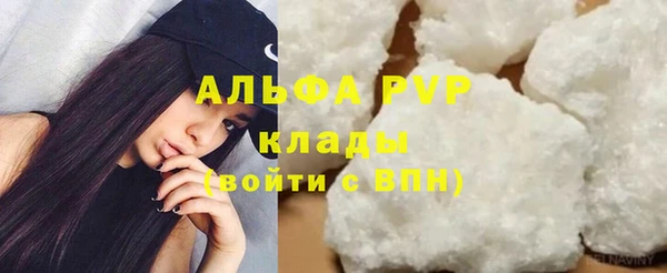 молекула духа Богородицк