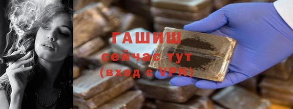 молекула духа Богородицк