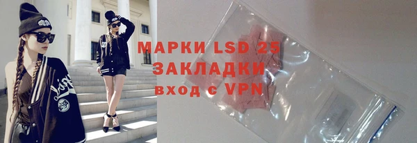 молекула духа Богородицк