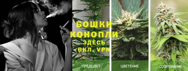 марихуана Богданович