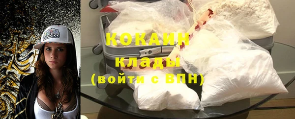 молекула духа Богородицк