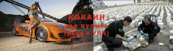 соль ск Богородск