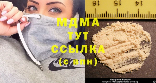 молекула духа Богородицк